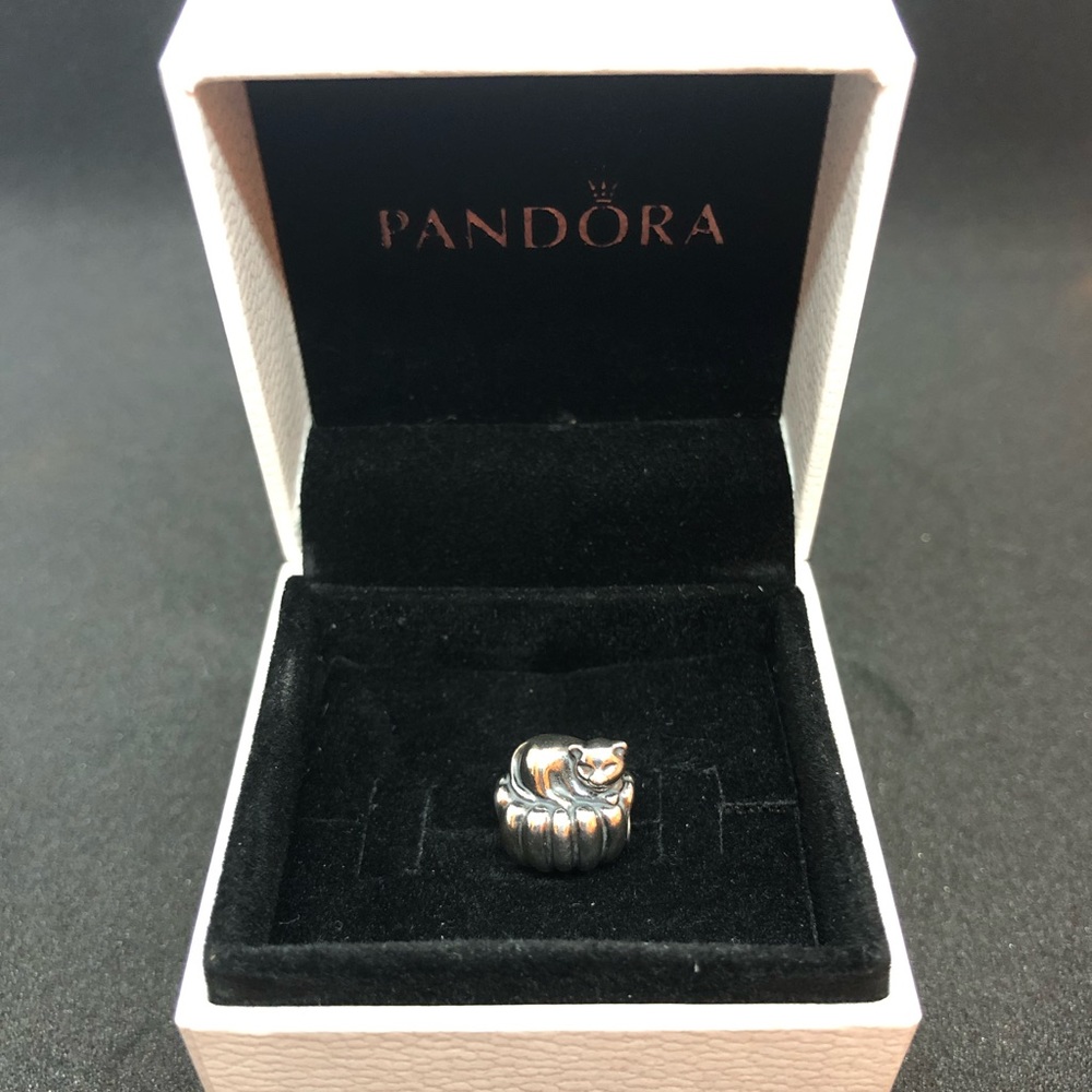 Pandora Cozy Cat Silver Charm #790595